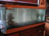 75 gallon tank 005.jpg