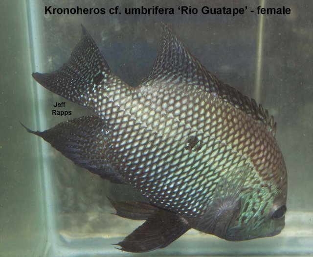 umb.guatape.fem.jpg