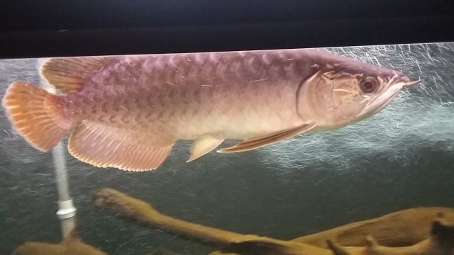 20160824_202936.jpg