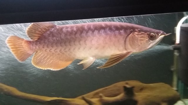 20160824_202938.jpg