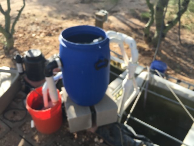 image.jpeg image.jpeg