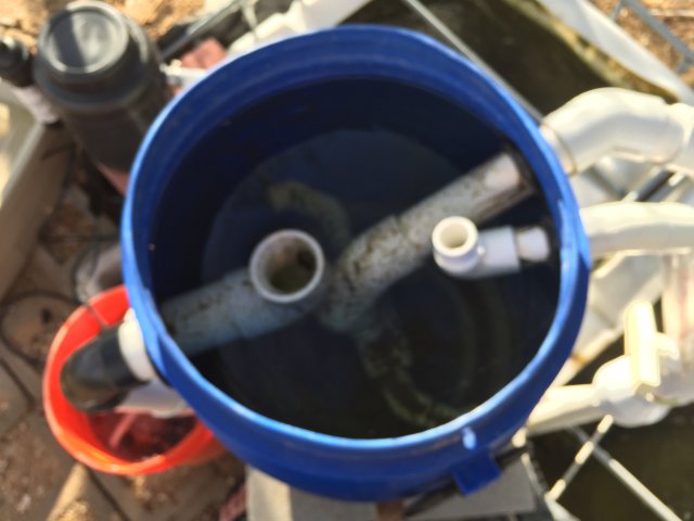 image.jpeg image.jpeg