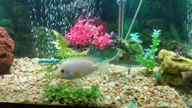 20160912_141011.jpg