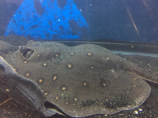 image.jpeg image.jpeg