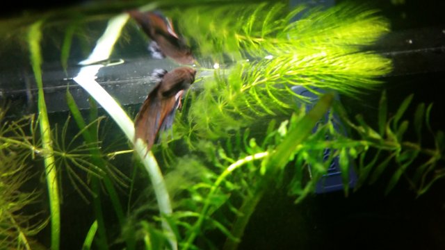 20160915_065843.jpg