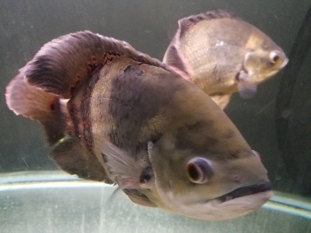 20160915_203713.jpg