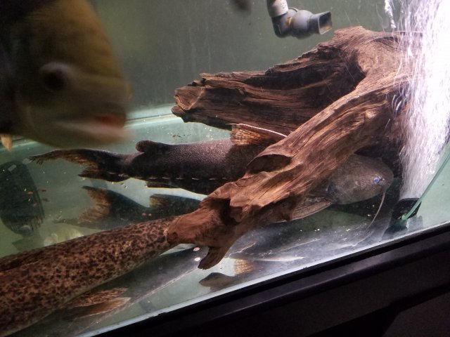 20160915_203731.jpg