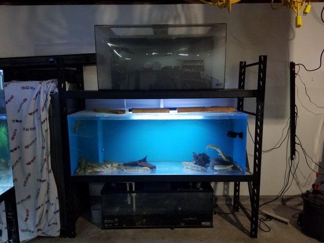 20160912_194633.jpg