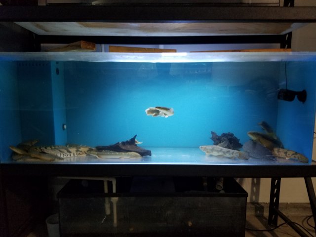 20160912_194651.jpg