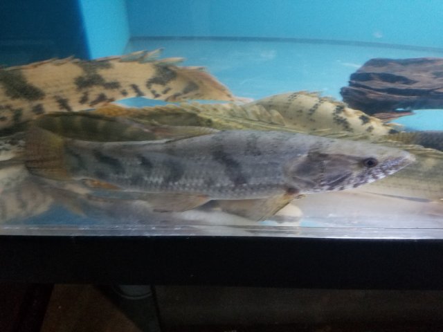 20160915_203739.jpg