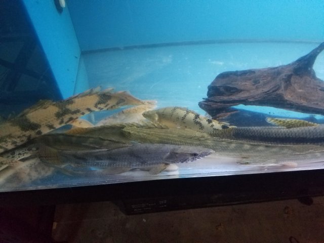 20160915_203743.jpg