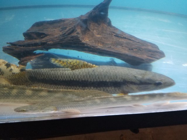 20160915_203746.jpg