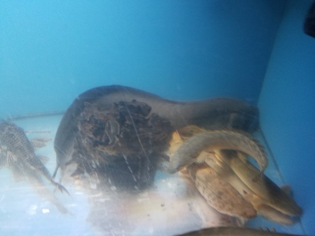 20160915_203801.jpg