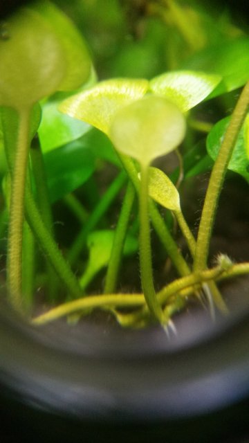 20160916_111441.jpg