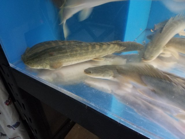 20160916_192725.jpg