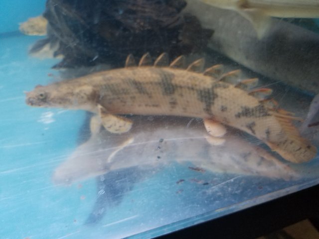 20160916_192743.jpg