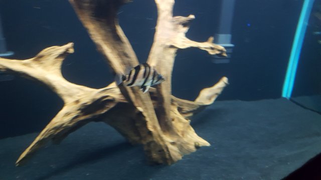 20160916_203405.jpg