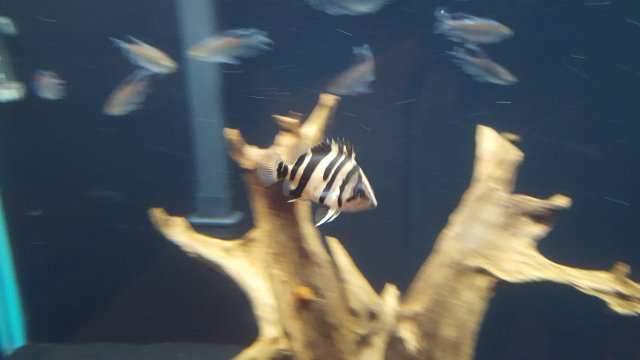 20160916_195502.jpg