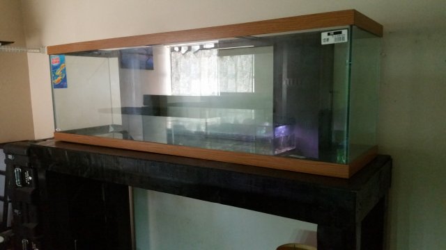 125tank-empty-01.jpg