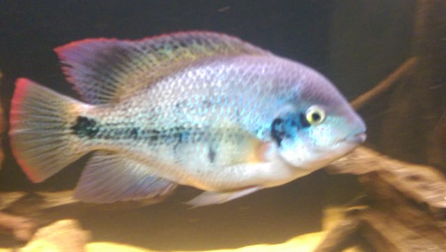 IMAG0913.jpg