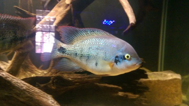 IMAG0882.jpg