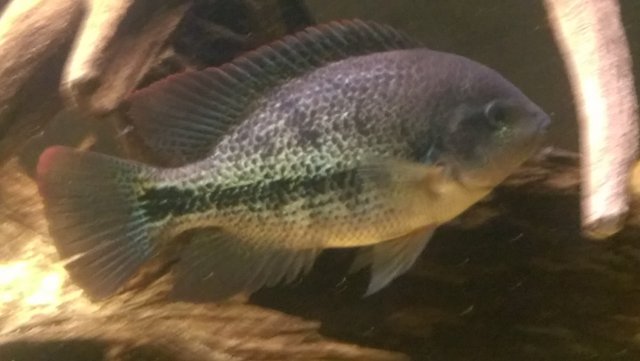 IMAG0916.jpg