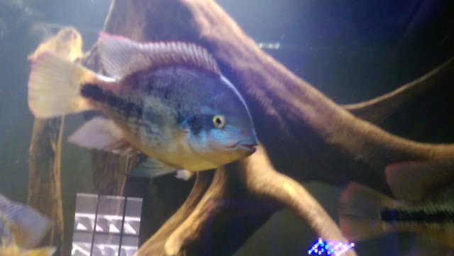 IMAG0885.jpg