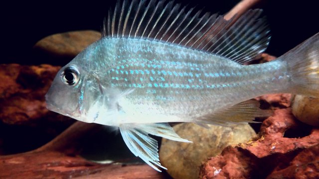 2016-09-20 11.56.24.jpg