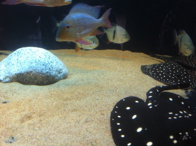 photo 23.JPG photo 23.JPG