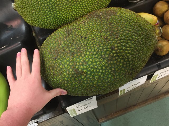 image.jpeg