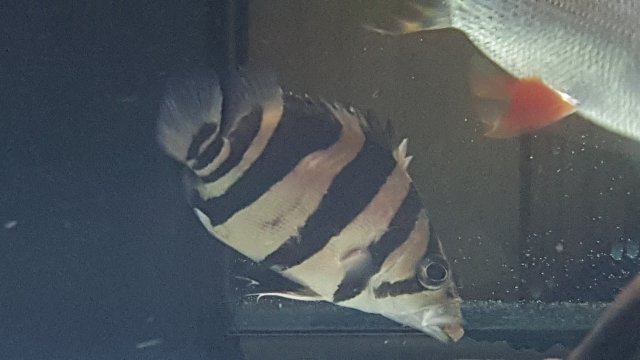 20160520_020915.jpg