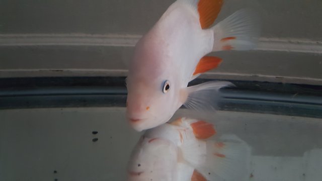 20160927_122416.jpg