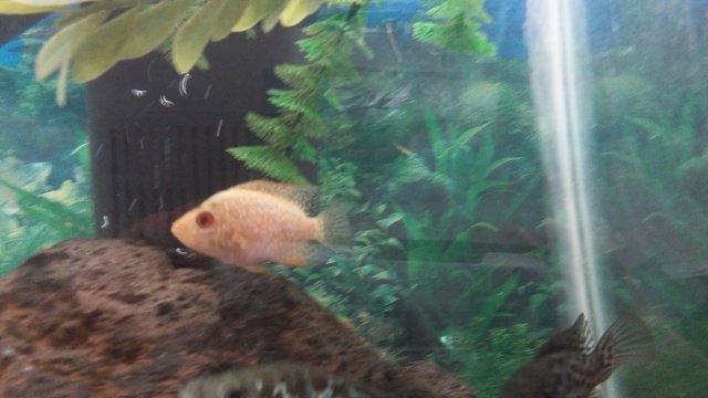 20160928_121747.jpg
