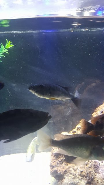 20160930_190302.jpg 20160930_190302.jpg