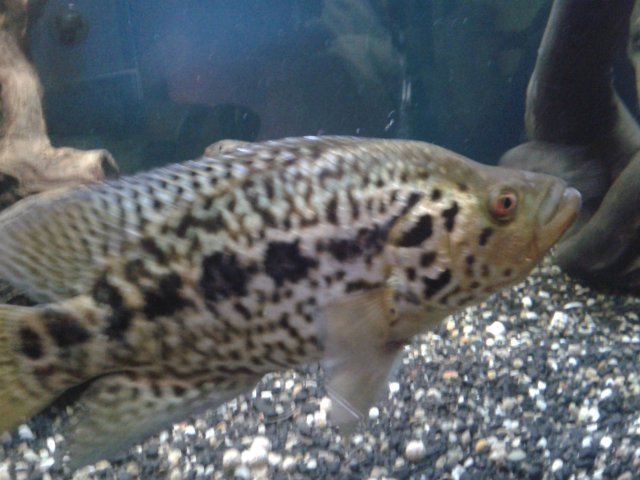 2015-07-13 14.06.46.jpg