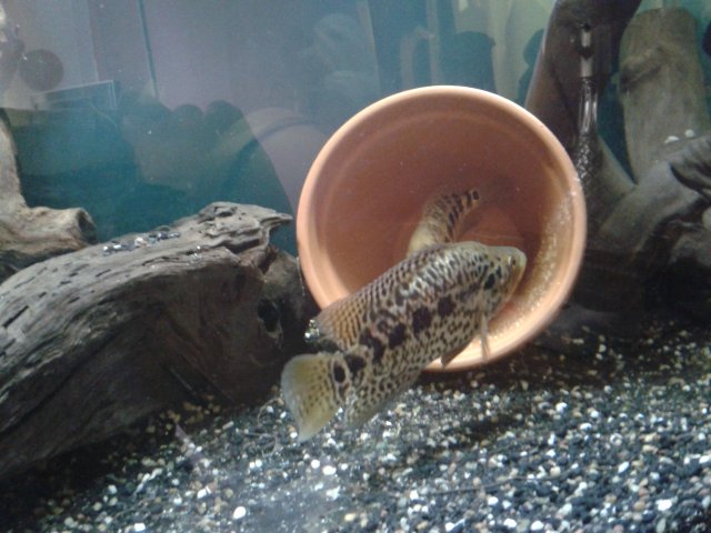 2015-07-20 11.23.51.jpg