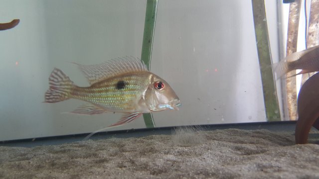 20161003_113956.jpg