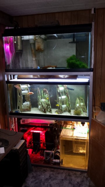 20160705_171738.jpg