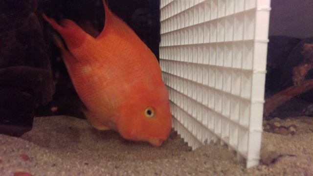 IMAG0960.jpg