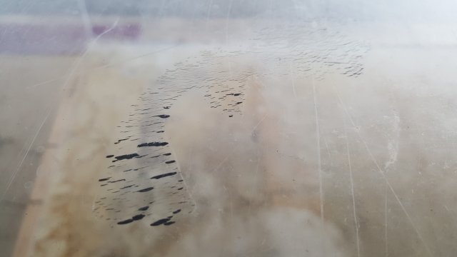 20160924_184404.jpg