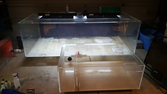 20161006_224043.jpg