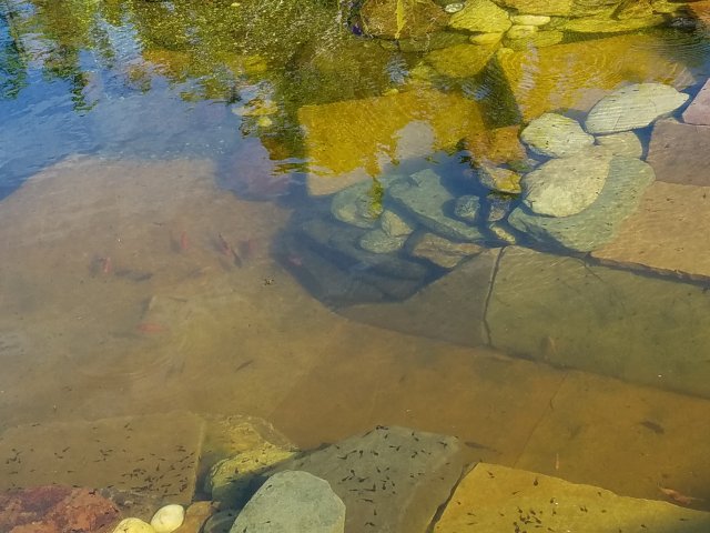 20160413_170910.jpg