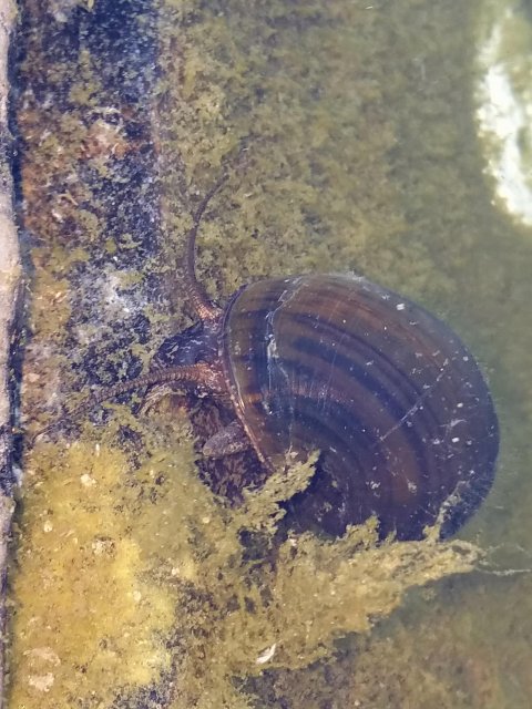 20160623_193115.jpg