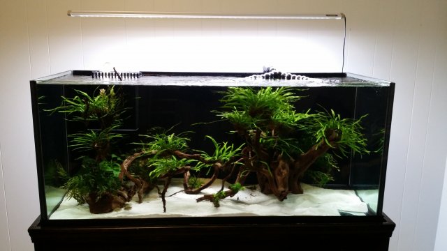 20161009_161341.jpg