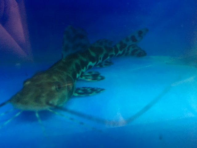 IMG_7535.jpg