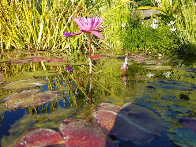 20160622_185736.jpg