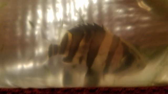 20161010_190554.jpg