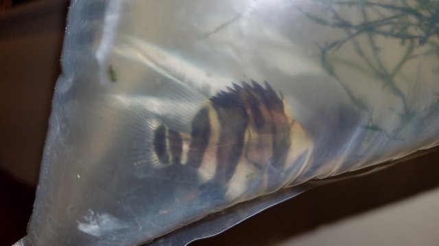 20161010_190435.jpg