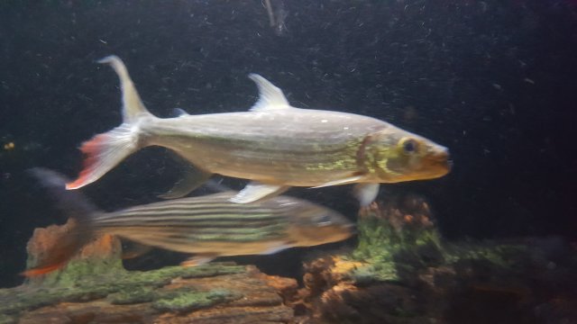 20161013_183030.jpg