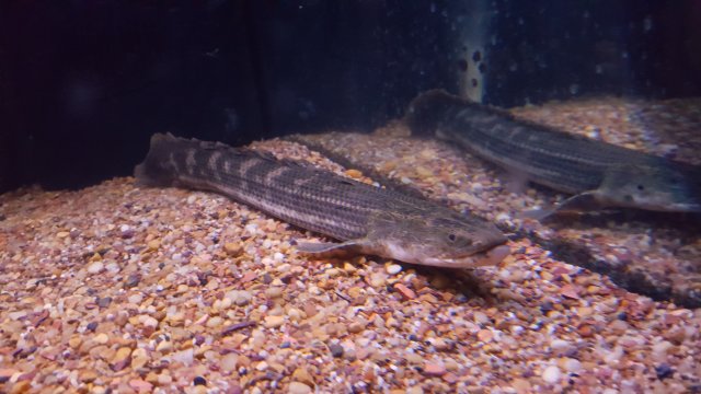 20161013_182519.jpg
